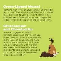 Gizzls Joint & Mobility CBD Treats - Small Dog
